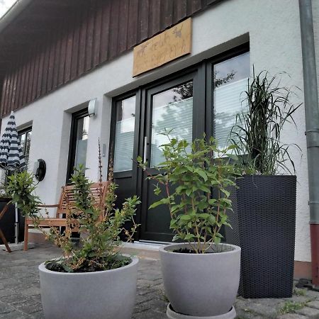 Ferienwohnung Zum Eifelelch Daun Exteriör bild