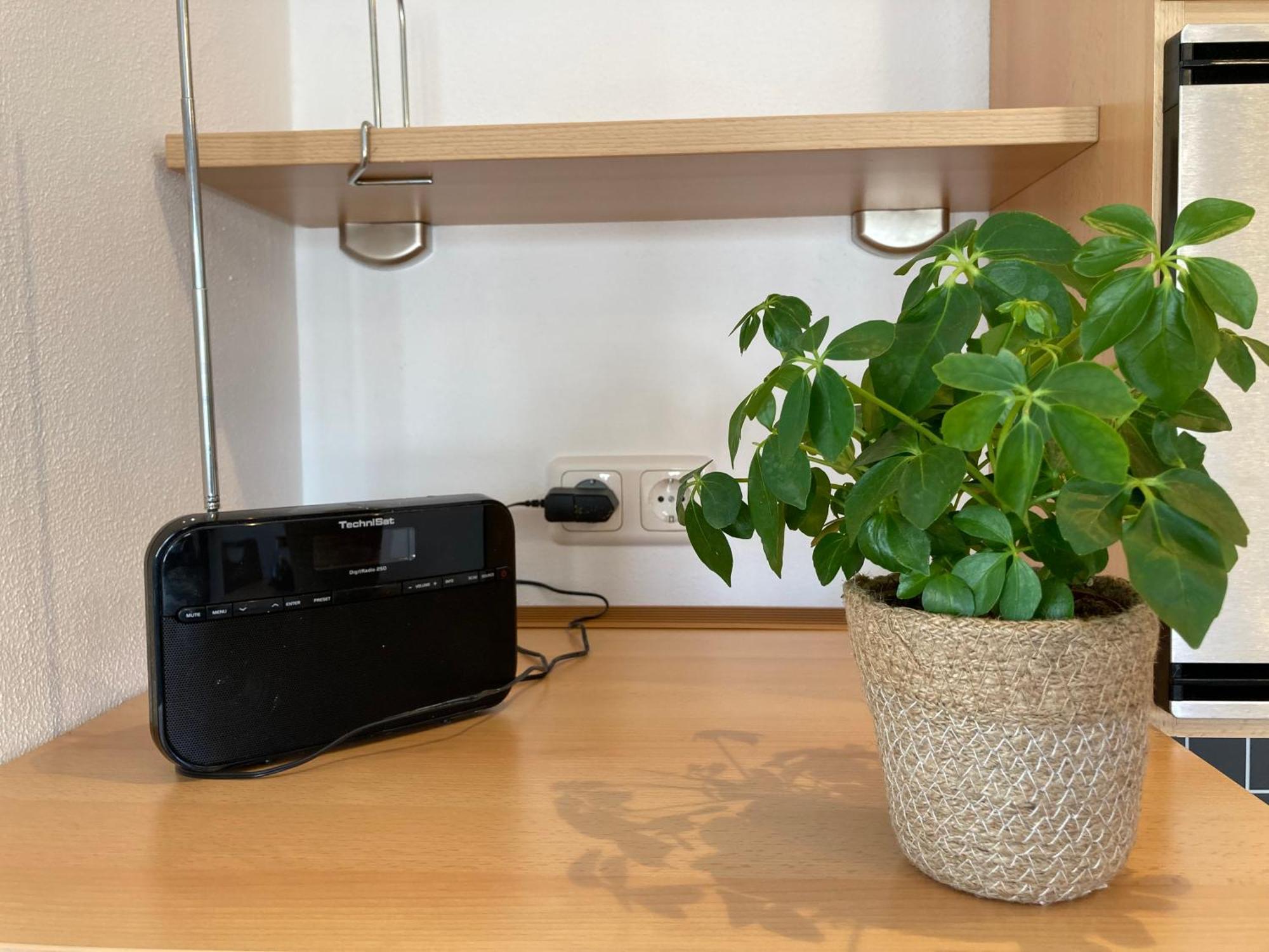 Ferienwohnung Zum Eifelelch Daun Exteriör bild