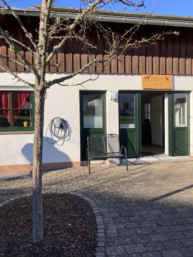 Ferienwohnung Zum Eifelelch Daun Exteriör bild