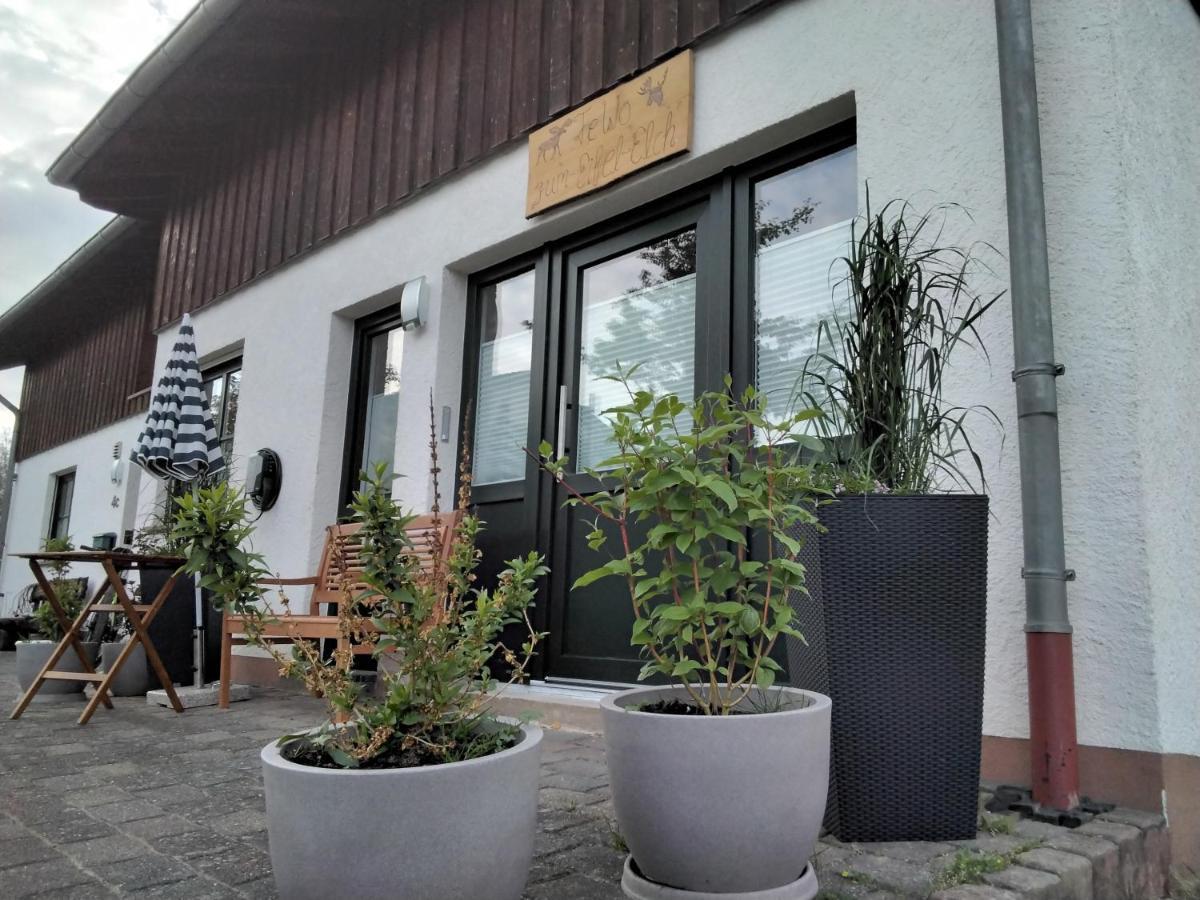 Ferienwohnung Zum Eifelelch Daun Exteriör bild